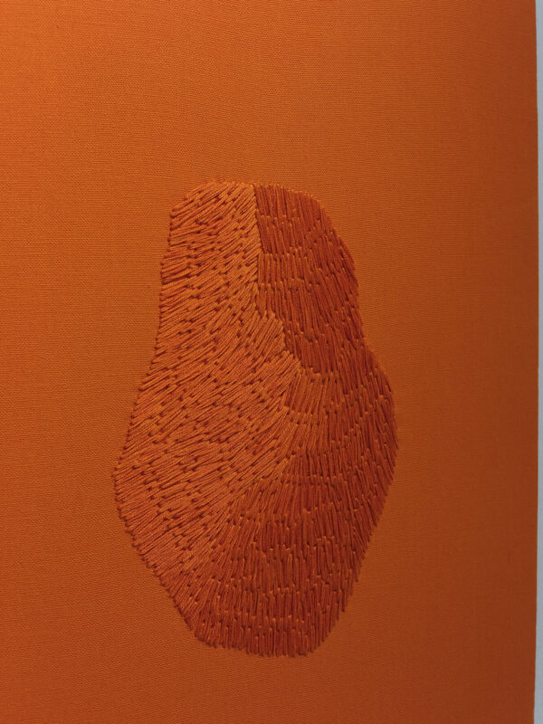 venus naranja- koral antolin-1